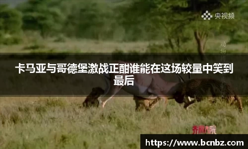 必一运动b-sports官网