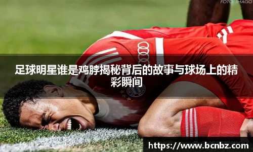 必一运动b-sports官网