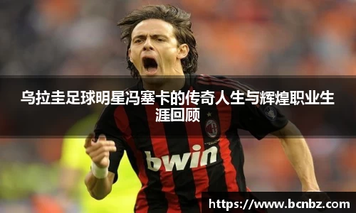 必一运动b-sports官网